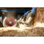 Bottes de travail BEKINA Steplite EasyGrip O4