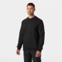 Sweat homme HELLY HANSEN Evo 79343