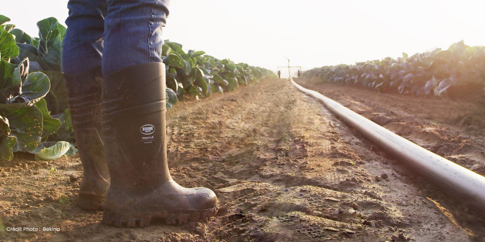Bekina Boots Pourquoi choisir des bottes en Neotane® plutôt qu’en caoutchouc
